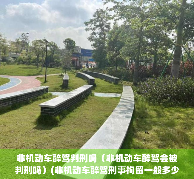 非机动车醉驾判刑吗（非机动车醉驾会被判刑吗）(非机动车醉驾刑事拘留一般多少天)