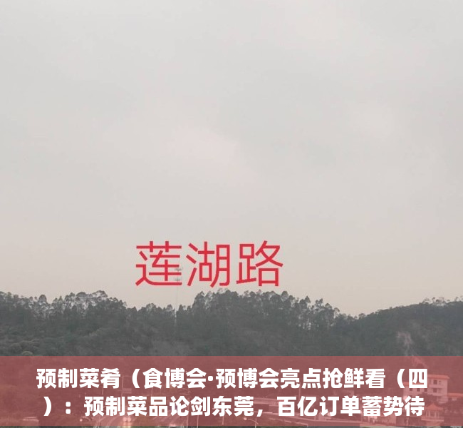 预制菜肴（食博会·预博会亮点抢鲜看（四）：预制菜品论剑东莞，百亿订单蓄势待发）