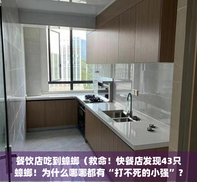 餐饮店吃到蟑螂（救命！快餐店发现43只蟑螂！为什么哪哪都有“打不死的小强”？）