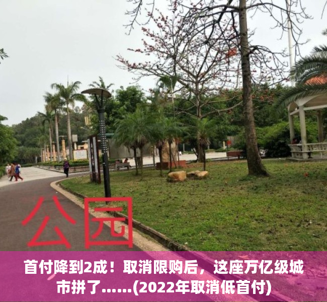 首付降到2成！取消限购后，这座万亿级城市拼了……(2022年取消低首付)