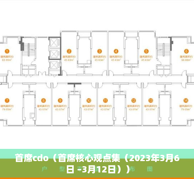 首席cdo（首席核心观点集（2023年3月6日 –3月12日））