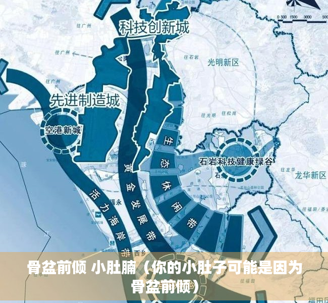 骨盆前倾 小肚腩（你的小肚子可能是因为骨盆前倾）