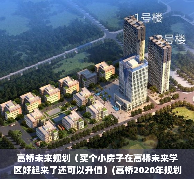 高桥未来规划（买个小房子在高桥未来学区好起来了还可以升值）(高桥2020年规划)