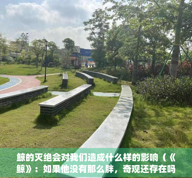 鲸的灭绝会对我们造成什么样的影响（《鲸》：如果他没有那么胖，奇观还存在吗？）