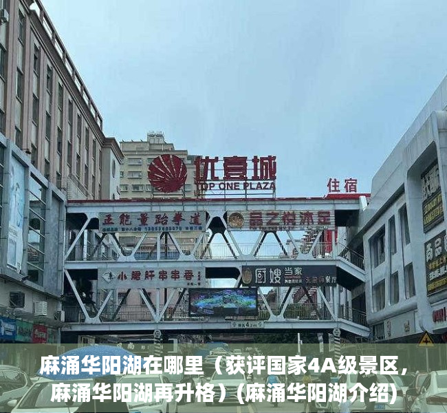 麻涌华阳湖在哪里（获评国家4A级景区，麻涌华阳湖再升格）(麻涌华阳湖介绍)