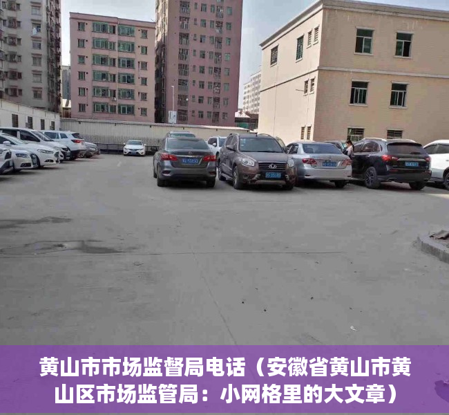 黄山市市场监督局电话（安徽省黄山市黄山区市场监管局：小网格里的大文章）