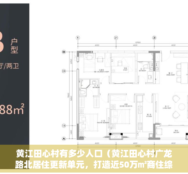 黄江田心村有多少人口（黄江田心村广龙路北居住更新单元，打造近50万㎡商住综合体）