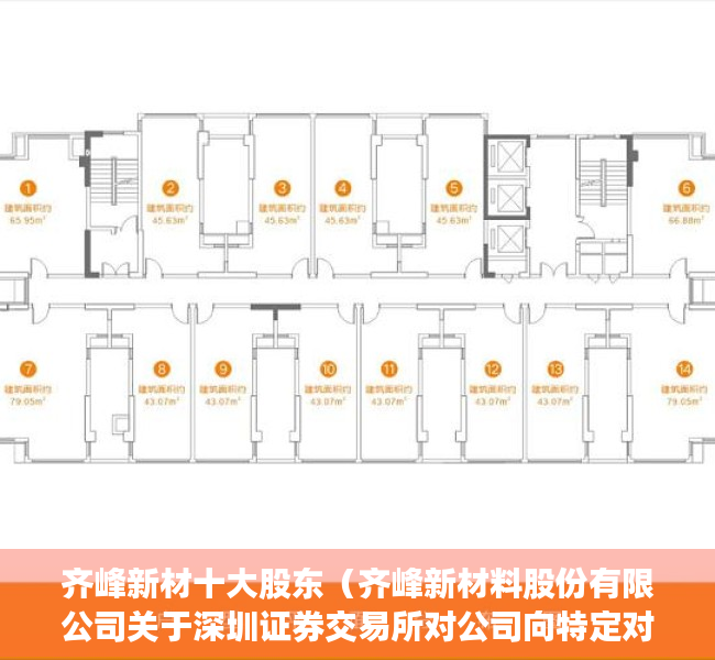 齐峰新材十大股东（齐峰新材料股份有限公司关于深圳证券交易所对公司向特定对象发行股票问询函的回复公告）