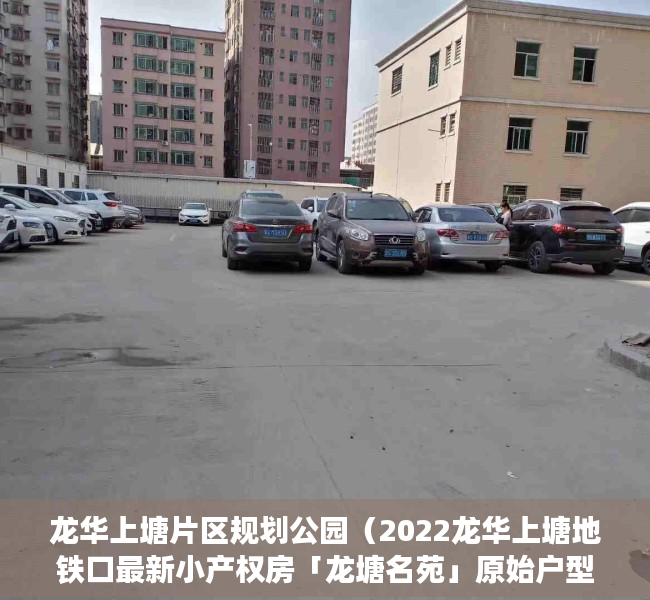 龙华上塘片区规划公园（2022龙华上塘地铁口最新小产权房「龙塘名苑」原始户型，双地铁口）
