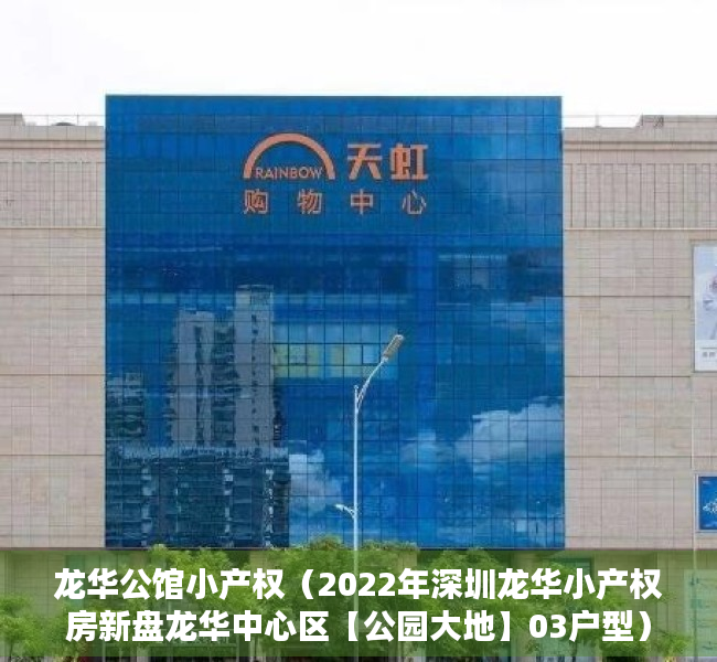龙华公馆小产权（2022年深圳龙华小产权房新盘龙华中心区【公园大地】03户型）