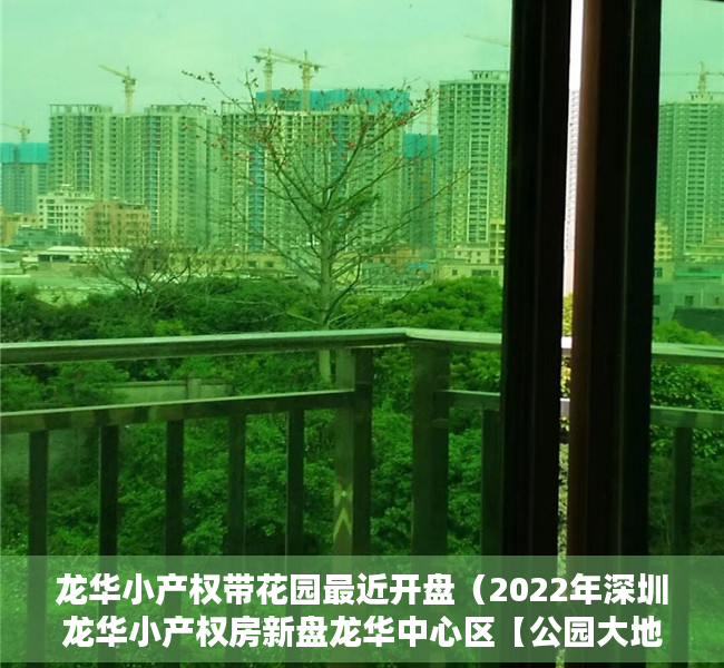 龙华小产权带花园最近开盘（2022年深圳龙华小产权房新盘龙华中心区【公园大地】05户型）