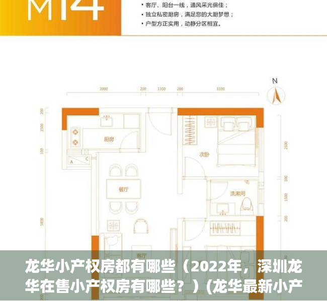 龙华小产权房都有哪些（2022年，深圳龙华在售小产权房有哪些？）(龙华最新小产权房项目下周六上市)
