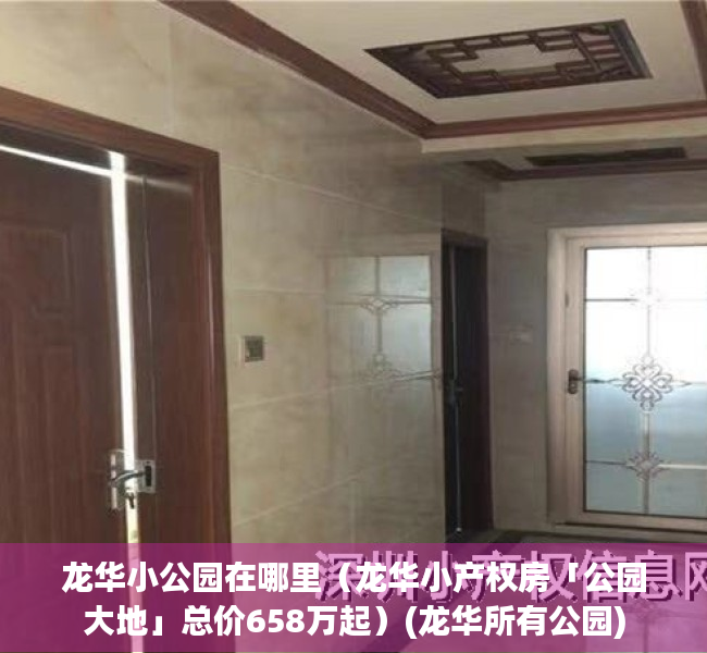 龙华小公园在哪里（龙华小产权房「公园大地」总价658万起）(龙华所有公园)