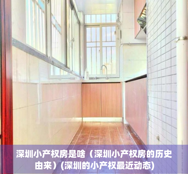 深圳小产权房是啥（深圳小产权房的历史由来）(深圳的小产权最近动态)