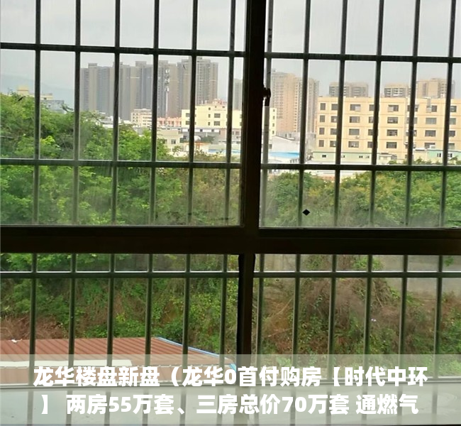 龙华楼盘新盘（龙华0首付购房【时代中环】 两房55万套、三房总价70万套 通燃气 楼下就是商业街）