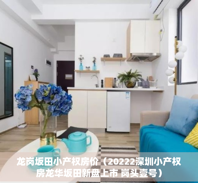 龙岗坂田小产权房价（20222深圳小产权房龙华坂田新盘上市 岗头壹号）