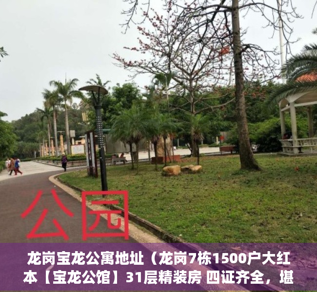 龙岗宝龙公寓地址（龙岗7栋1500户大红本【宝龙公馆】31层精装房 四证齐全，堪比商品房）