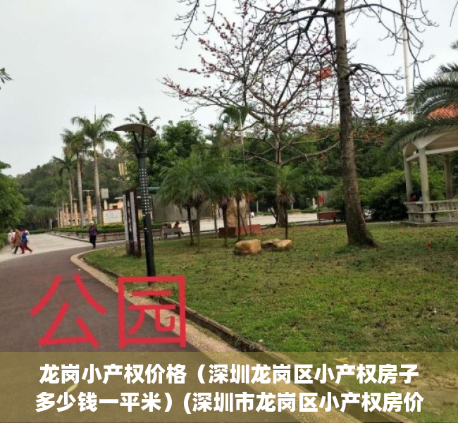 龙岗小产权价格（深圳龙岗区小产权房子多少钱一平米）(深圳市龙岗区小产权房价?)