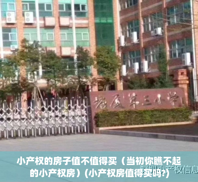 小产权的房子值不值得买（当初你瞧不起的小产权房）(小产权房值得买吗?)