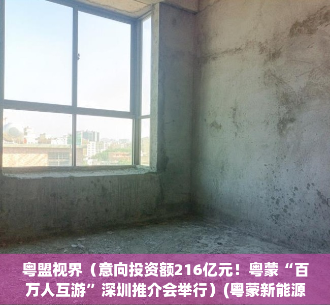 粤盟视界（意向投资额216亿元！粤蒙“百万人互游”深圳推介会举行）(粤蒙新能源公司)