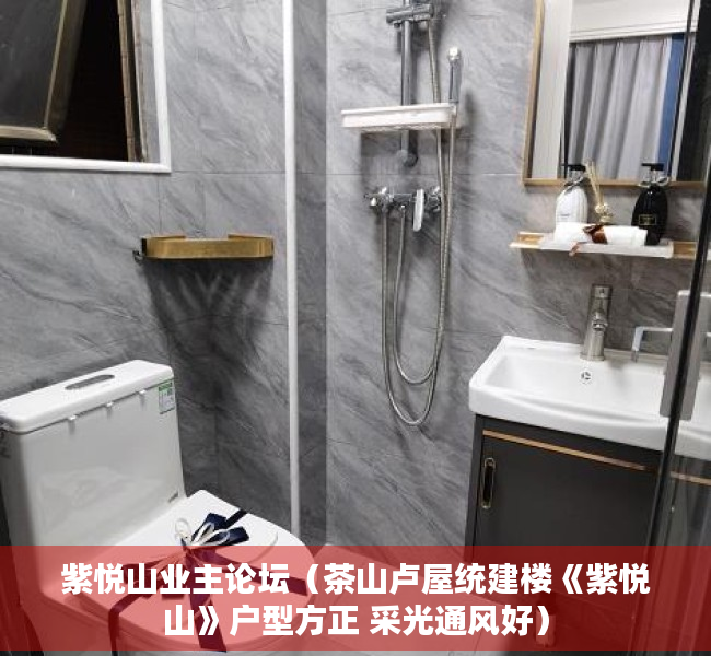 紫悦山业主论坛（茶山卢屋统建楼《紫悦山》户型方正 采光通风好）