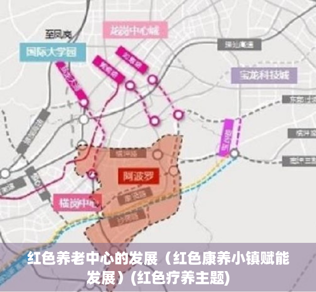 红色养老中心的发展（红色康养小镇赋能发展）(红色疗养主题)