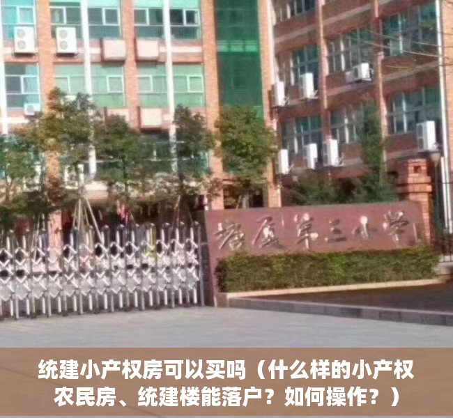 统建小产权房可以买吗（什么样的小产权农民房、统建楼能落户？如何操作？）
