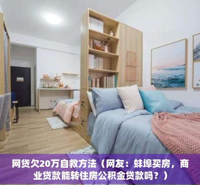 网贷欠20万自救方法（网友：蚌埠买房，商业贷款能转住房公积金贷款吗？）
