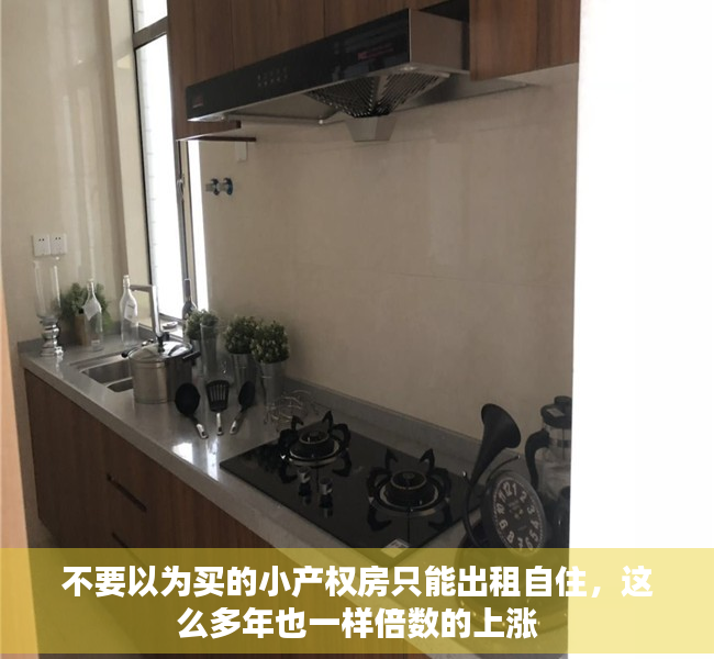 不要以为买的小产权房只能出租自住，这么多年也一样倍数的上涨