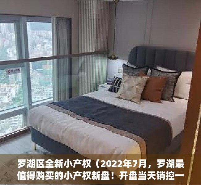 罗湖区全新小产权（2022年7月，罗湖最值得购买的小产权新盘！开盘当天销控一半！）