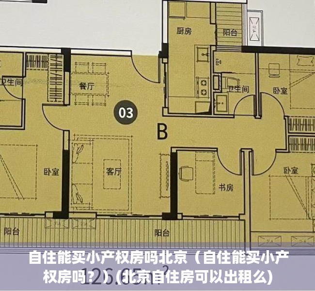 自住能买小产权房吗北京（自住能买小产权房吗？）(北京自住房可以出租么)