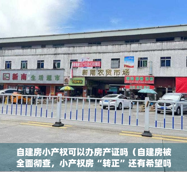 自建房小产权可以办房产证吗（自建房被全面彻查，小产权房“转正”还有希望吗？别花冤枉钱了）