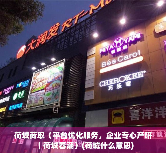 荷城荷取（平台优化服务，企业专心产研｜荷城春潮）(荷城什么意思)