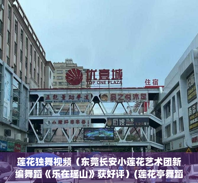 莲花独舞视频（东莞长安小莲花艺术团新编舞蹈《乐在瑶山》获好评）(莲花亭舞蹈)