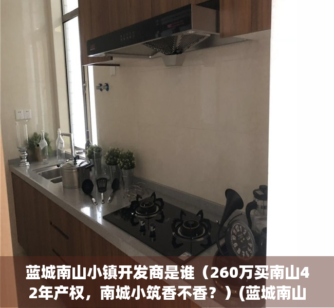 蓝城南山小镇开发商是谁（260万买南山42年产权，南城小筑香不香？）(蓝城南山小镇值不值得买)
