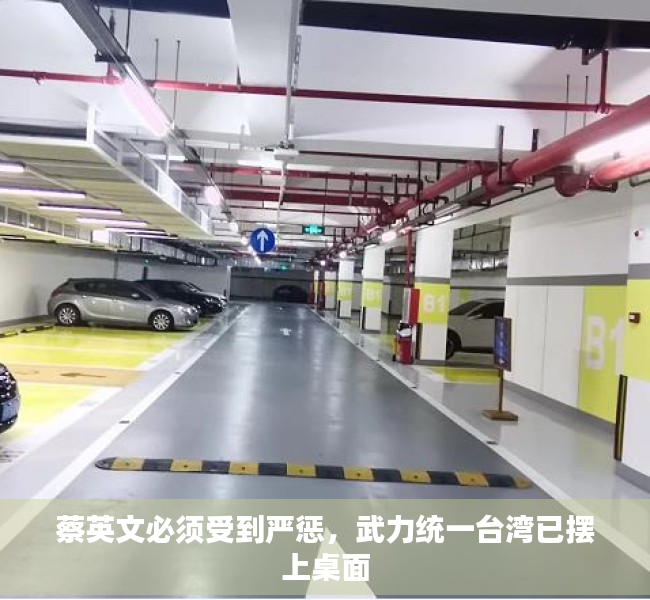 蔡英文必须受到严惩，武力统一台湾已摆上桌面