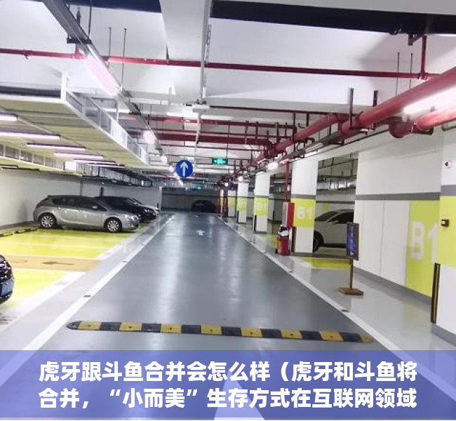 虎牙跟斗鱼合并会怎么样（虎牙和斗鱼将合并，“小而美”生存方式在互联网领域越来越稀缺）