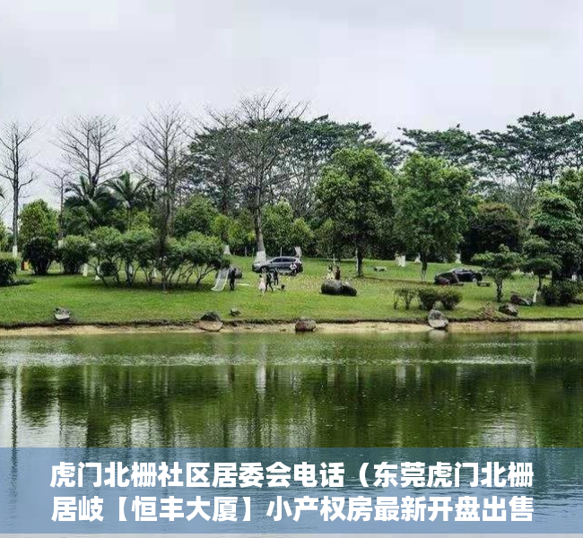 虎门北栅社区居委会电话（东莞虎门北栅居岐【恒丰大厦】小产权房最新开盘出售 碧桂园为邻 均价4300元）