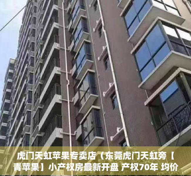 虎门天虹苹果专卖店（东莞虎门天虹旁【青苹果】小产权房最新开盘 产权70年 均价5880元）