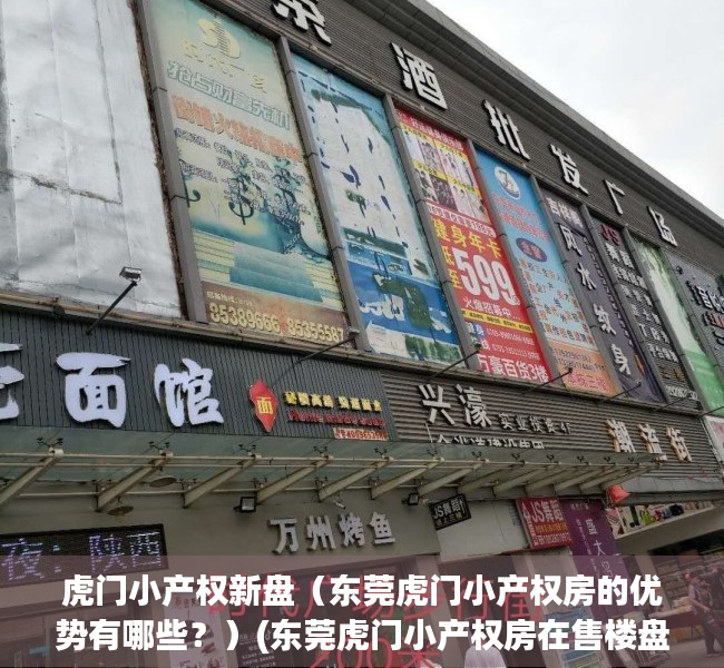 虎门小产权新盘（东莞虎门小产权房的优势有哪些？）(东莞虎门小产权房在售楼盘有哪些?)