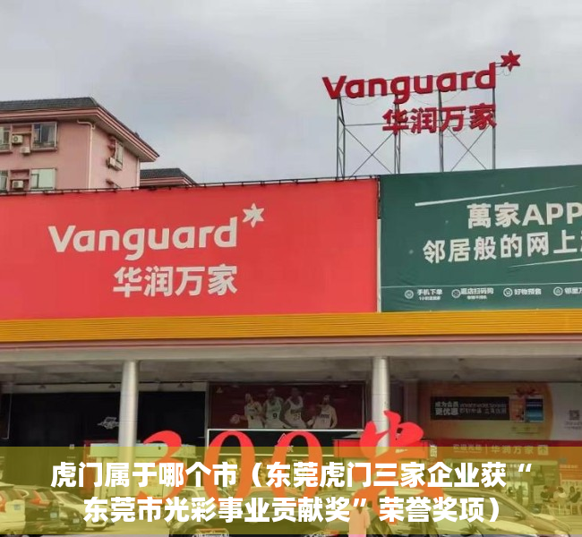 虎门属于哪个市（东莞虎门三家企业获“东莞市光彩事业贡献奖”荣誉奖项）