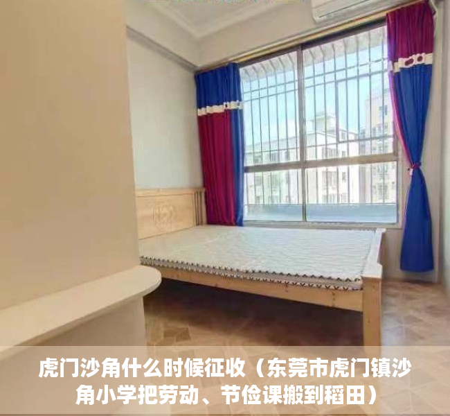 虎门沙角什么时候征收（东莞市虎门镇沙角小学把劳动、节俭课搬到稻田）