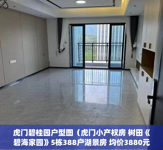 虎门碧桂园户型图（虎门小产权房 树田《碧海家园》5栋388户湖景房 均价3880元起）