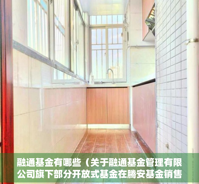 融通基金有哪些（关于融通基金管理有限公司旗下部分开放式基金在腾安基金销售（深圳）有限公司开通转换业务的公告）