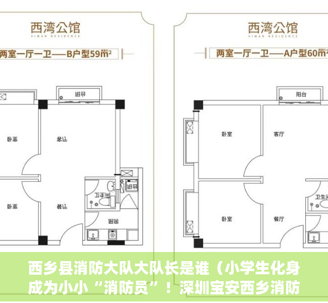 西乡县消防大队大队长是谁（小学生化身成为小小“消防员”！深圳宝安西乡消防救援站组织开展消防站开放日活动）