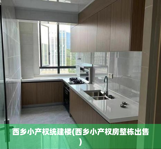 西乡小产权统建楼(西乡小产权房整栋出售) 西乡小产权统建楼(西乡小产权房整栋出售)