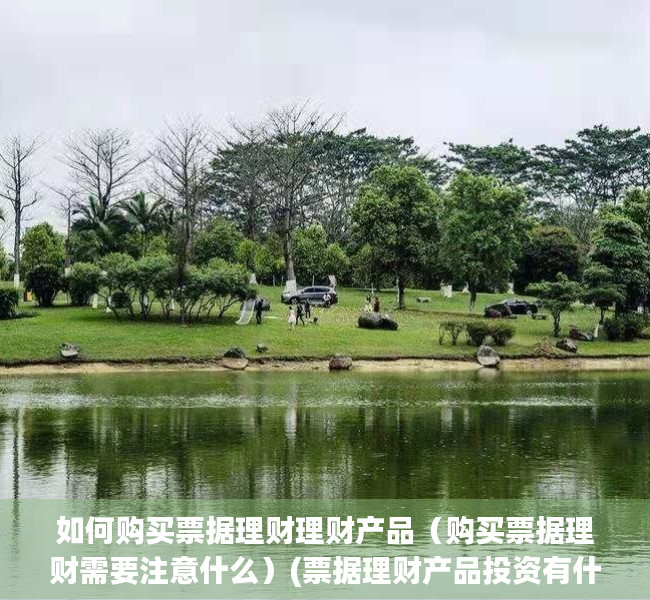 如何购买票据理财理财产品（购买票据理财需要注意什么）(票据理财产品投资有什么特点)
