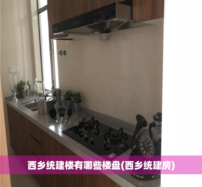 西乡统建楼有哪些楼盘(西乡统建房) 西乡统建楼有哪些楼盘(西乡统建房)