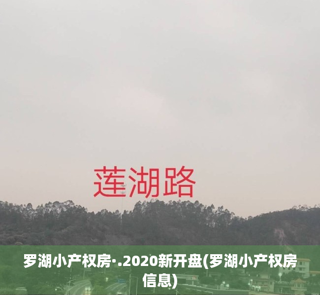 罗湖小产权房·.2020新开盘(罗湖小产权房信息) 罗湖小产权房·.2020新开盘(罗湖小产权房信息)