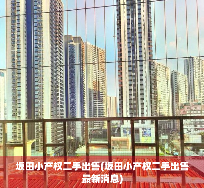 坂田小产权二手出售(坂田小产权二手出售最新消息) 坂田小产权二手出售(坂田小产权二手出售最新消息)
